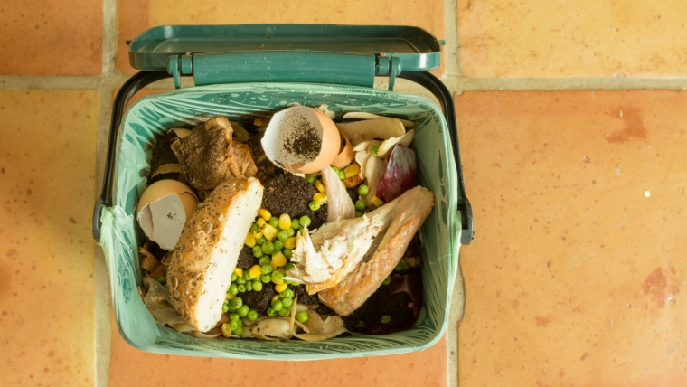 What Can I Compost?