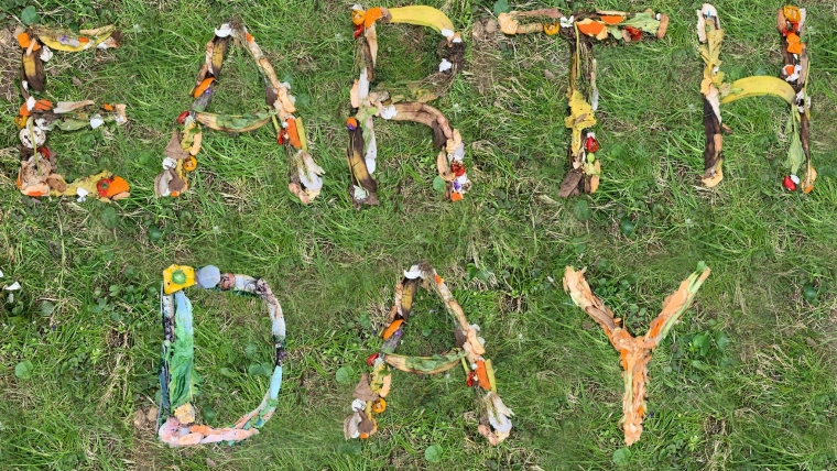 Celebrating the History of Composting