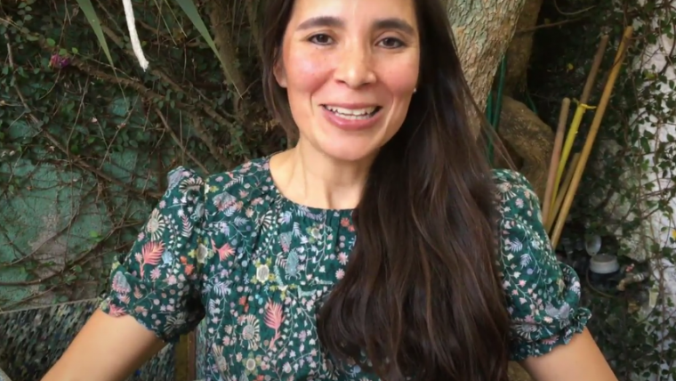 Mi Historia De Compostaje: Daniela Ochoa Gonzalez