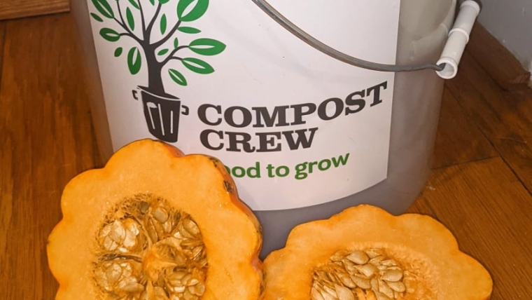 Before you Compost your Pumpkin…